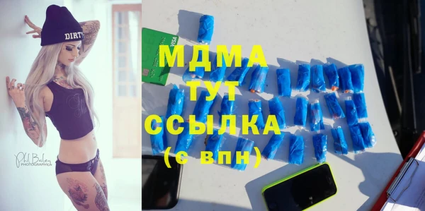 хмурый Алексин