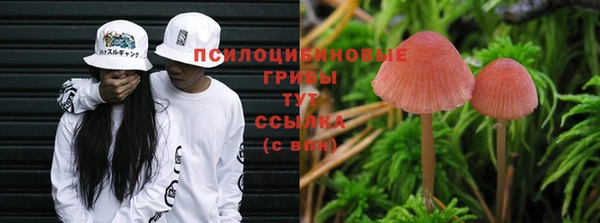 круглые Алексеевка