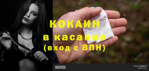 хмурый Алексин