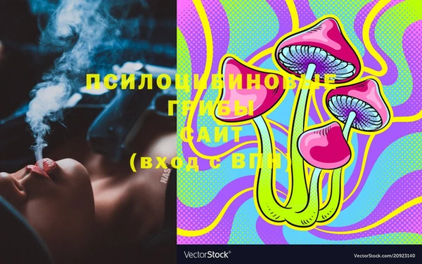 хмурый Алексин