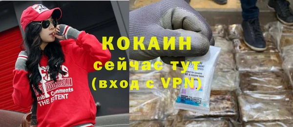 хмурый Алексин