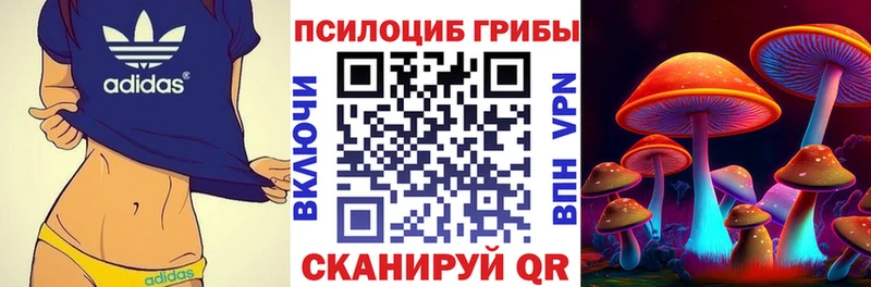 Купить закладки  Болохово  Псилоцибиновые грибы Psilocybine cubensis 